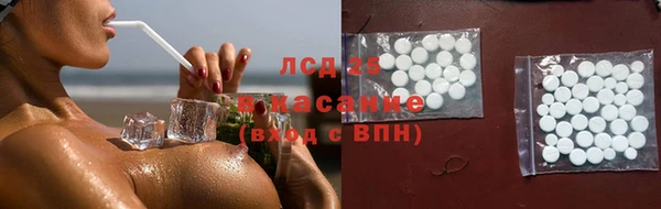 индика Арсеньев