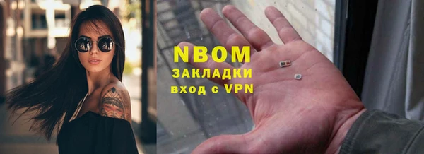 индика Арсеньев
