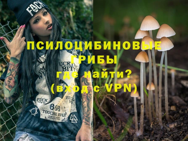 индика Арсеньев