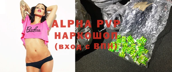 индика Арсеньев