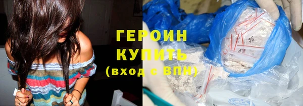 индика Арсеньев
