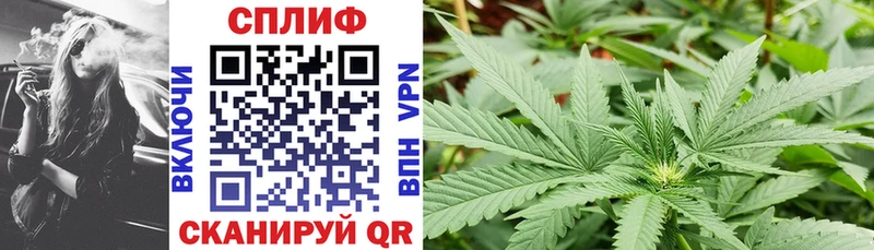 Конопля White Widow  где продают наркотики  Остров 